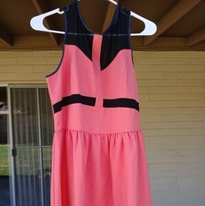 #174 Kensie Dresses Women's Size 8